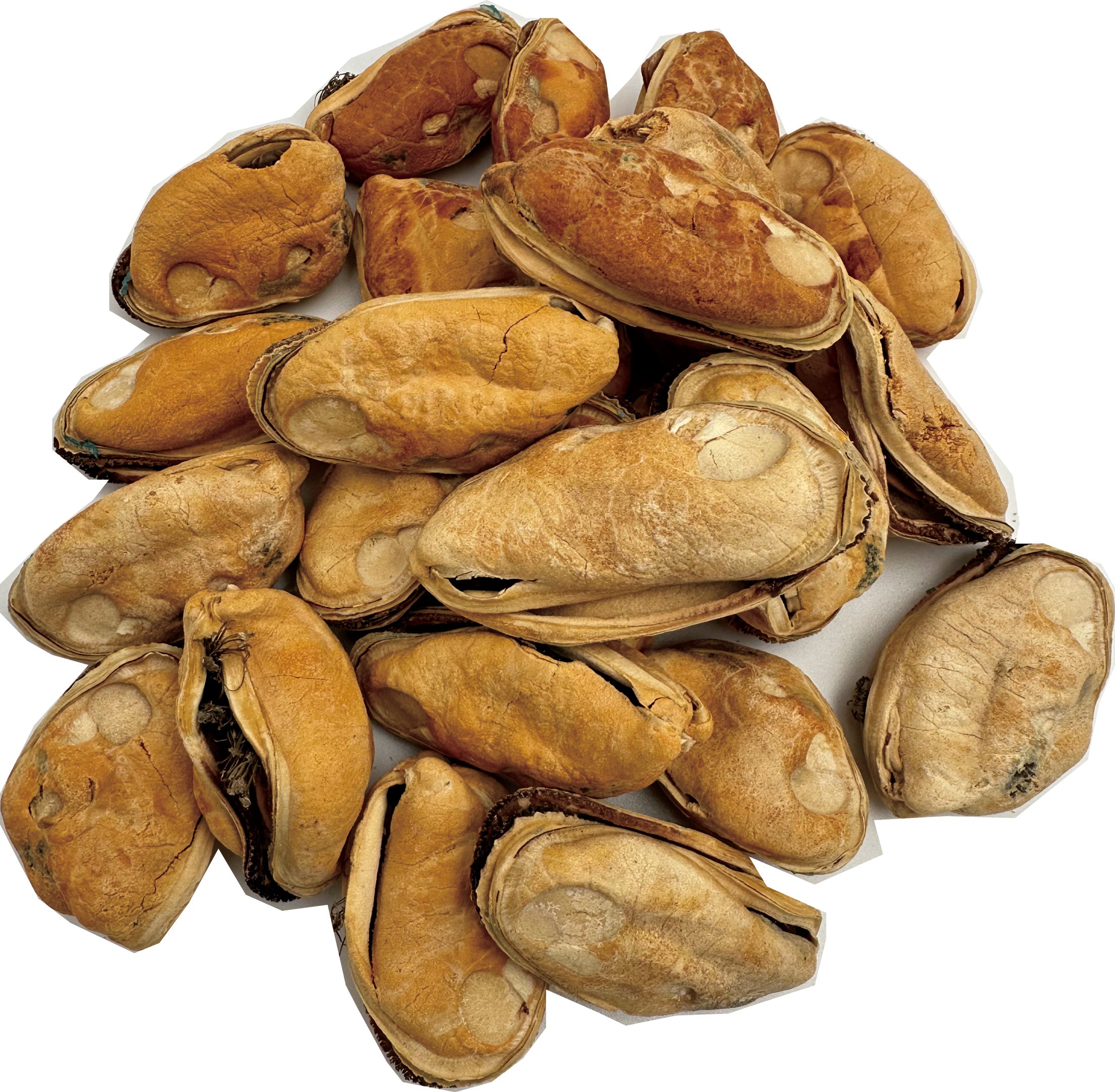 Dried mussels for dogs best sale